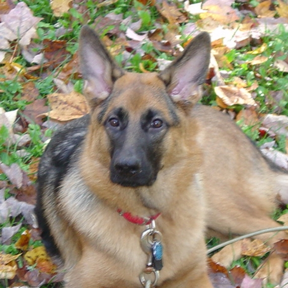 Meet your Posher, Wendy - Picture 7 of 9